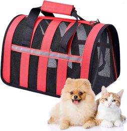 Housses de siège de voiture pour chien sac de transport respirant voyage Portable chat compagnie aérienne sacs maille fenêtre transportant pour petit moyen S M L