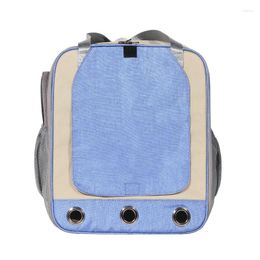 Hondenauto -covers Cat Backpack draagbare huisdiertas buiten waterdichte ademende dubbele schouder en reizen