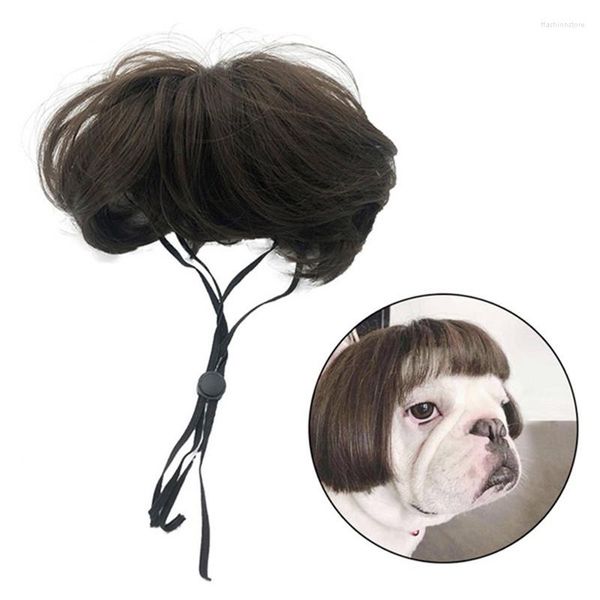 Couvercles de siège d'auto pour chien Cosplay Wig pour petits chiens fournit des accessoires de danse accessoires décoratifs Costume de chat drôle 2023