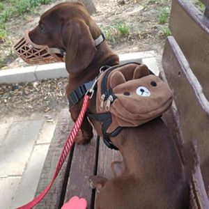 Hondenauto-zitplaatsen schattige nylon huisdier rugzak voor kleine middelgrote honden handige draagbare snacktas met grote capaciteit