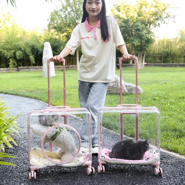 Couvre les sièges d'auto de chien Extra Luxury Luxury Square Pet Carrier Bag Travel Trolley Cat Transparent Cat Universal Wheel Rolling