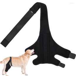 Housses de siège de voiture pour chien, soutien de la hanche, jambe arrière, protection respirante à haute élasticité avec bande métallique pour petit