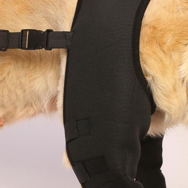 Housses de siège de voiture pour chien, support de jambe, protection du genou arrière, articulation des hanches des chiens, protection et prévention des blessures