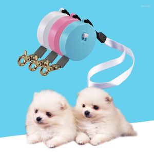 Housses de siège de voiture pour chien Mini peau rétractable Portable automatique corde en Nylon pour animaux de compagnie en plein air marche Traction accessoires plats