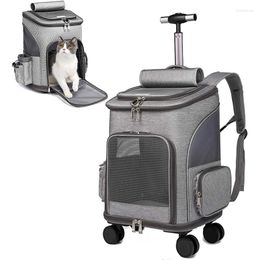 Fundas de asiento de coche para perros, mochila para transportar mascotas, cochecito de gato, viaje para perros pequeños, gatos, cachorros, ruedas rodantes extraíbles