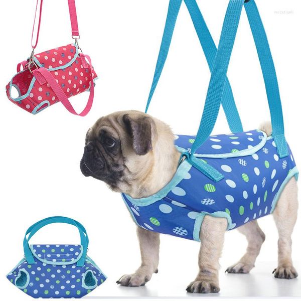 Housses de siège de voiture pour chien, porte-animaux pour petits sacs confortables et respirants pour chiots et chats, sac à dos de voyage en plein air, accessoires pour Chihuahua