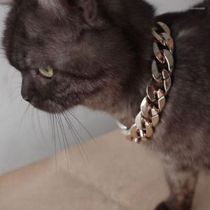 Hondenauto -zitplaatsen deksels kattenketting ketting ketting verstelbare lengte POS POS -props Veiligheidskraag voor decoratie -accessoires Kleine honden