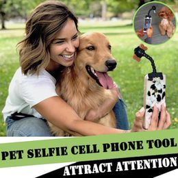 Housses de siège de voiture pour chien Portable pour animaux de compagnie Selfie bâton téléphone accessoire chat prendre Pos formation jouet produits accessoires fournitures