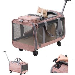 Coprisedili per auto per cani Spot Staccabile Ruota universale Borsa pieghevole Trolley multifunzione Tug Pet Travel Cat portatile