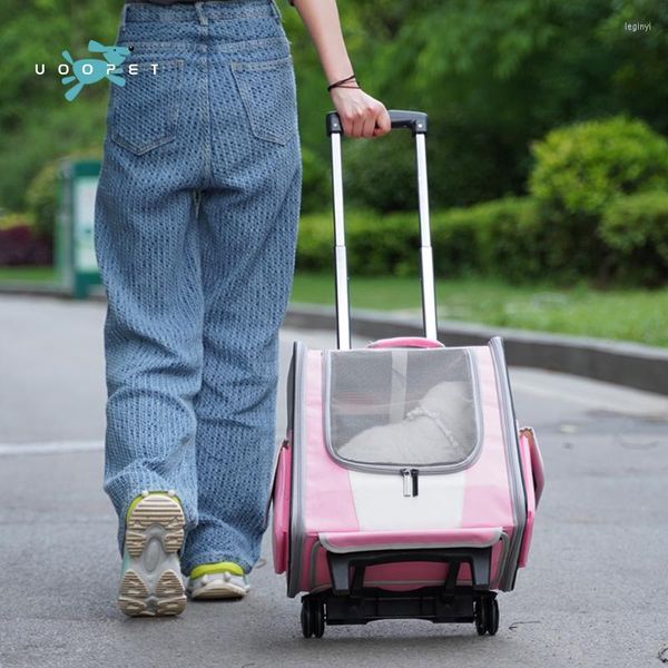 Couvre-siège d'auto pour chiens Carrier d'été pour chiens Pruisible tire pousse poussette