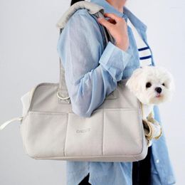 Hondenauto-zitplaatsen Summer Pet Out Out Bag Puppy Chihuahua Yorkshire Ademend kat draagbare one-shoulder messenger-rugzak