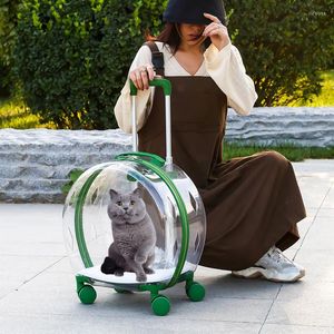 Housses de siège de voiture pour chien sac de chat transparent respirant en plein air boîte pour animaux de compagnie chaton sac à main roue mobile étui de voyage accessoires de poussette de marche