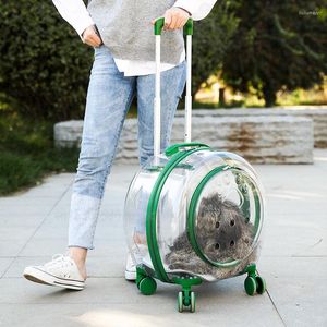 Cubiertas de asiento de coche para perros Trolley Mochila para mascotas Multifuncional Transpirable y portátil Bolsa para gatos Caja de aire transparente Cochecito de burbujas