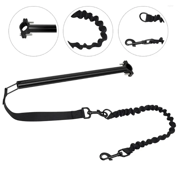 Porte-chien 1 jeu de laisse pour animaux de compagnie support de vélo remplacement Durable équitation