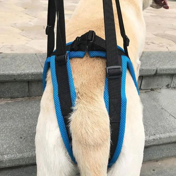 Carril de perros Centilla ajustable para mascotas soportando las piernas de la pierna de levantamiento de las piernas traseras que ayudan a caminar por las mascotas con cinturones de asistencia