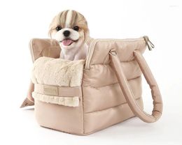 Sac de transport pour chien, sac respirant pour animaux de compagnie, voyage en plein air, chiot, chat, sacs à bandoulière pour animaux de compagnie, sac à dos souple pliable