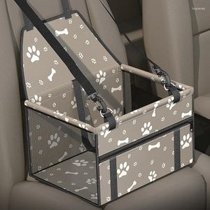 Bolsa para mascotas para coche, Maleta de viaje impermeable y a prueba de garras, plegable