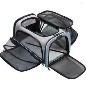 Sac de transport pour chien et chat, sac à dos Portable pliable pour animaux de compagnie, Cage respirante