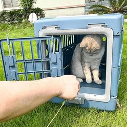 Chenil portatif pliable de caisse de chiot de transporteur de chien pour de petits chiens