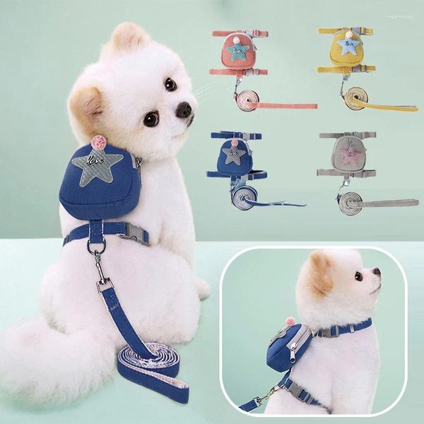 Sac à dos de transport pour chien, mignon animal de compagnie, sac de rangement Portable avec laisse, petit harnais et ensemble d'accessoires pour chiens d'extérieur