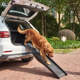 Porte-chien pliant escalier pour animaux de compagnie PP matériel antidérapant auxiliaire voiture escalade échelle grand plastique Max L75kg