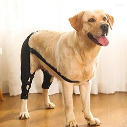 Attelle de hanche de transport pour chiens, manchon de jambe pour animaux de compagnie, protecteur de plaie, Support de Protection, Joint