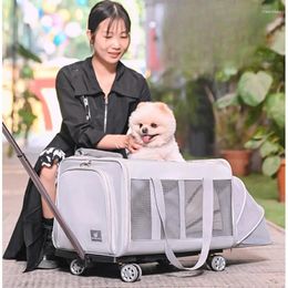 Hondendrager grote capaciteit voor honden isolatie partition cage demontage base huisdier kar stille poelie auto reisaccessoires