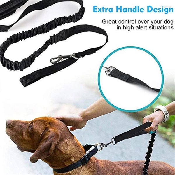 Correo portador de perros correa las correas de mascota reflectante elástica con mango acolchado Safe Leader Rope para no hacer accesorios para caminar