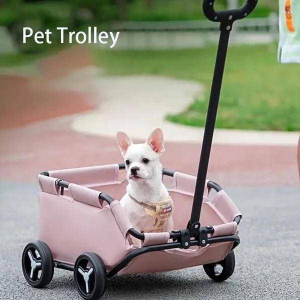 Transportador para perros, carrito plegable ligero para mascotas, cochecito de coche con carrito para gatos de lujo pequeño a mediano, 4 ruedas