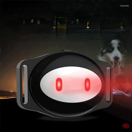 Hondendraagzak Huisdier Gps Tracker Kraag Waterdicht 5 dagen Stand-by Geo-fence Mini Cat Spraakoproep Wifi