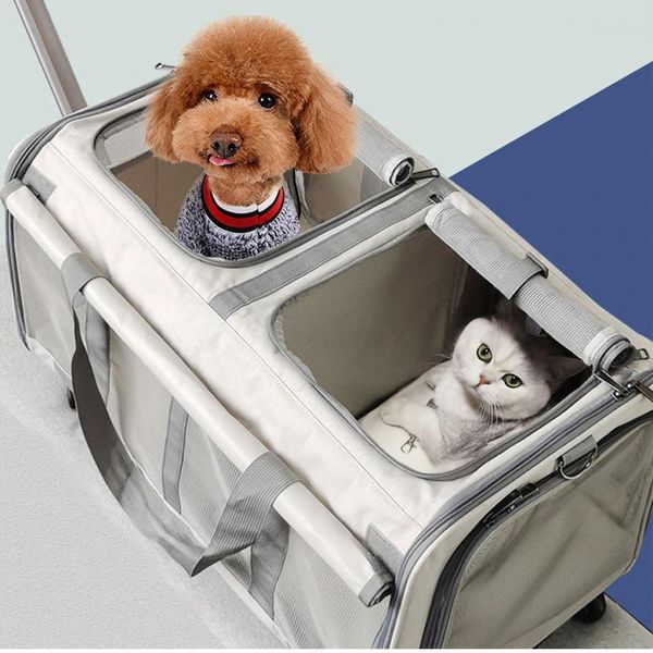 Transportín para perros, bolso grande para mascotas, carrito espacial, mochila pequeña, Hatchback Cat, bolsa de tamaño mediano, funda con cremallera, malla y viaje portátil