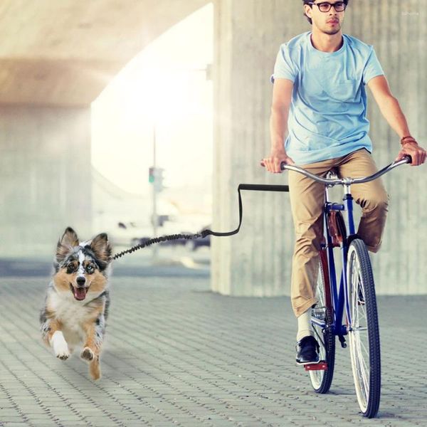 Transportín para perros, suministros para mascotas, correa de bicicleta, cuerda de tracción para correa de montar, accesorio de seguridad, arnés para transporte al aire libre