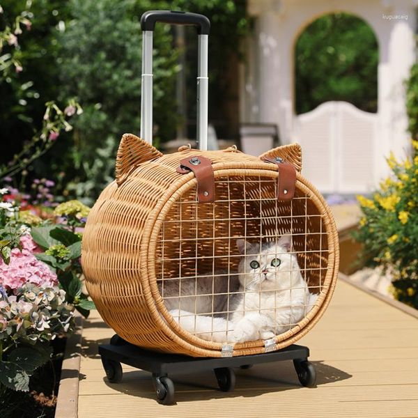 Porte-chien pour animaux de compagnie, Cage en rotin faite à la main, petit panier de Poméranie, Transport à poulie silencieux