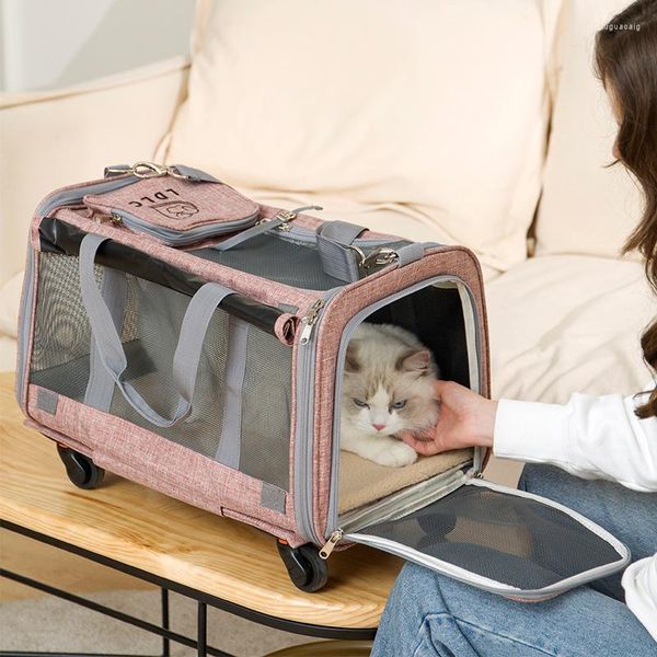 Porte-chien amovible roue universelle sac pliant chariot multifonctionnel remorquage animal de compagnie main animaux pliable chat