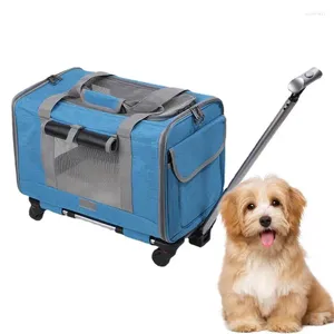 Transportín para perros pequeños y gatos con ruedas, bolsa de viaje para mascotas, cremalleras de seguridad, aerolínea rodante suave