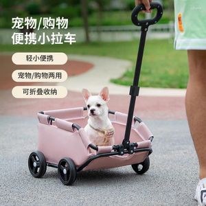 Carrier de chien Small Pet Stroller Cat Teddy bébé pour voyager léger pliage