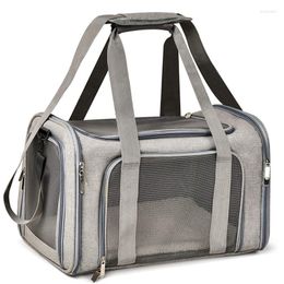 Chien transporteur Spot chat sac Portable Simple Messenger animal de compagnie pour sortir Cage respirant pliable sac à dos