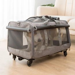 Carrito transportador para perros, carrito para mascotas, carrito para cachorros para perros pequeños, transportadores dobles para cachorros, compras plegables, desmontables para gatos al aire libre