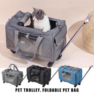 Sac de voyage pour chien, grande boîte pour chat transformable avec roulettes et fermeture éclair de sécurité pour un rangement facile