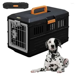 Carrier de chien en gros xxl jaula de transportte plastico ocero kenles inoxydables cage pliable cage para perro pour