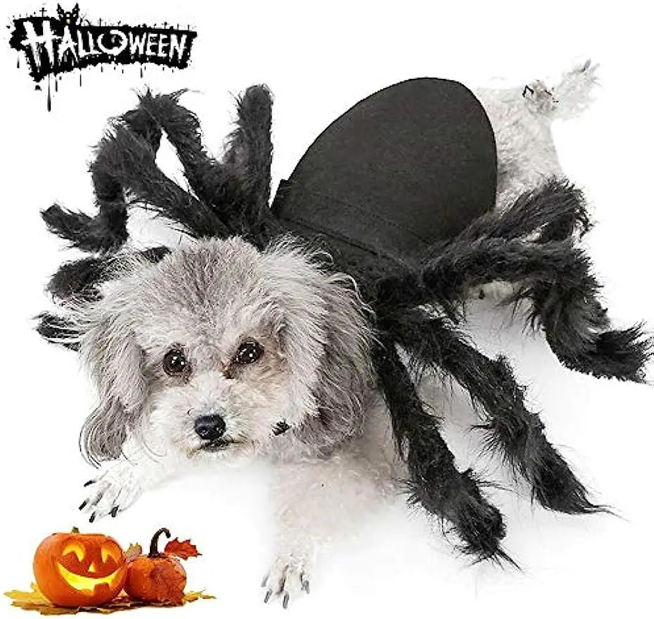 Cão gato aranha traje para festa de halloween decoração halloween cosplay trajes para filhote de cachorro gato vestir acessórios 240228
