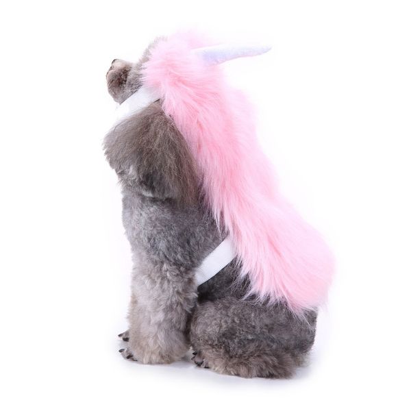 Vêtements pour chiens Halloween Noël vêtements pour animaux de compagnie costume de chauve-souris costume de chat d'équitation costume de chien de compagnie costume de Noël