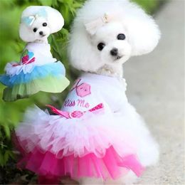 Vêtements pour chiens petits chiens habillés sweety princesse printemps automne chiot dentelle de mariage mascotas roupa yzl 240328