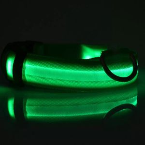 Collar para perro, correas, luz nocturna, seguridad LED, brillo intermitente, suministros para mascotas, accesorios para perros y gatos pequeños