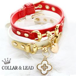 Hondenkraagleerleer Leibele premium echte kalfsleer Goldplated Buckle Red Lizard White Litchi Patroon Cat Pet Accessories 201101