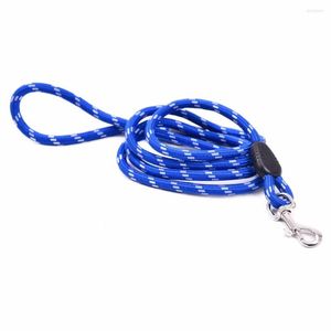 Colliers de chien 1.6M formation marche Pet plomb corde longue Nylon chiot laisse rouge/bleu/noir chat marche facile dans la cour bonne qualité