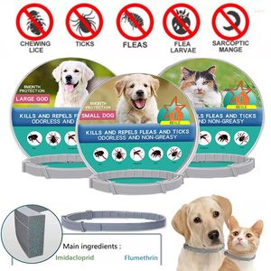 Colliers pour chiens 1 pièce/boîte pour animaux de compagnie prévention efficace parasite rétractable pour chiot chat grands chiens puces tiques