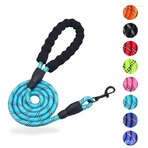 Colliers pour chiens 120/150/200/300cm, laisse solide et lumineuse, harnais en Nylon pour animaux de compagnie, accessoires de marche en plein air