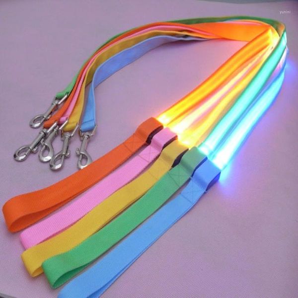Colliers de chien 120 cm LED laisse corde avec lumière plomb lumineux pour courir la sécurité de nuit clignotant collier lumineux harnais accessoires