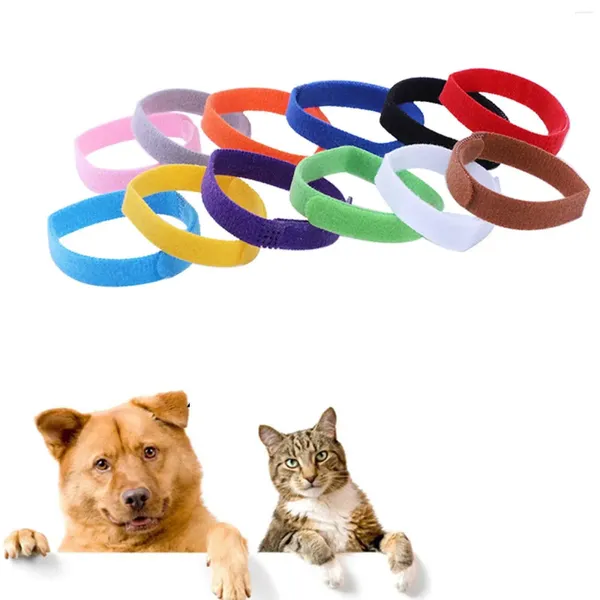 Colliers pour chiens 12x20cm, bandes d'identification en Nylon durables pour animaux de compagnie, colorées
